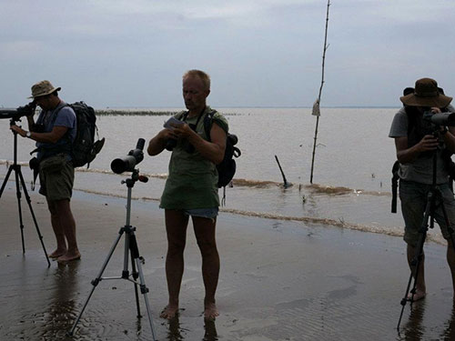 Touriste etranger observe les oiseaux sauvages au Vietnam