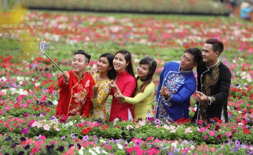 touristes - Belles fleurs du printemps au Vietnam