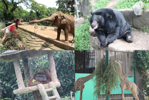 2 Jardin botanique et zoologique de Saigon - Voyage Vietnam