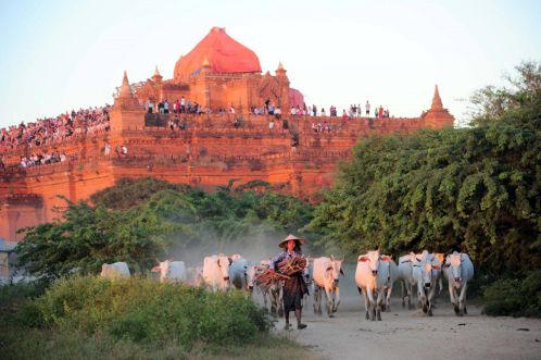 bagan ancienne capitale birmanie - voyage birmanie